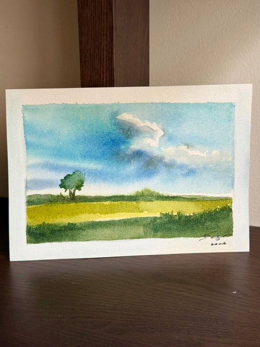 “SKYSCAPE I” study
