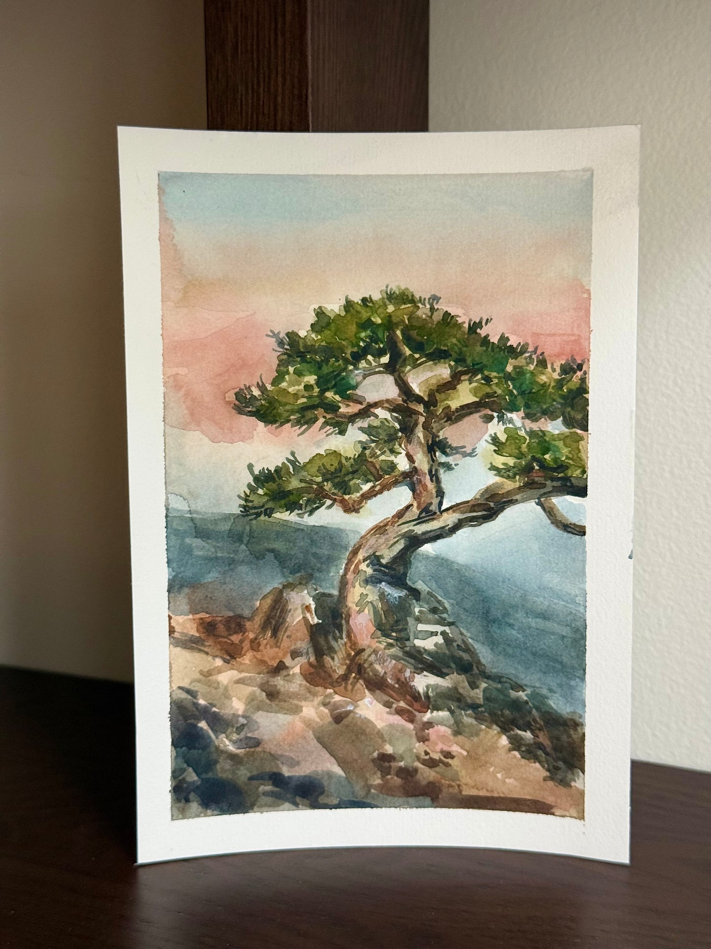 “SUNRISE”