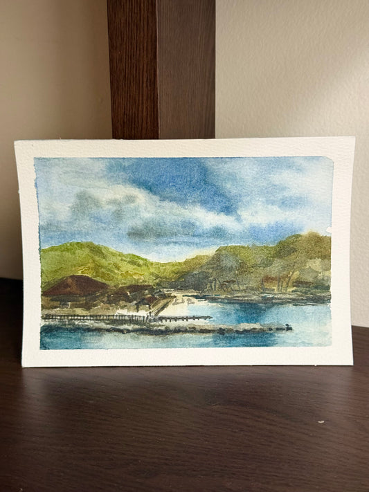 “TORTOLA” study