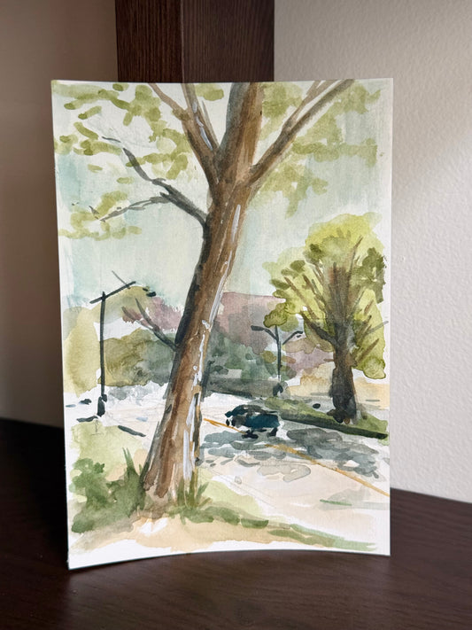 “OCEAN PARKWAY II” study